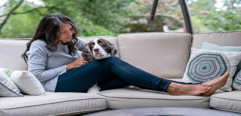 8 Ways to Make Your Pet Comfortable When They Feel Anxious in New Situations